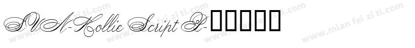SVN-Hollie Script P字体转换